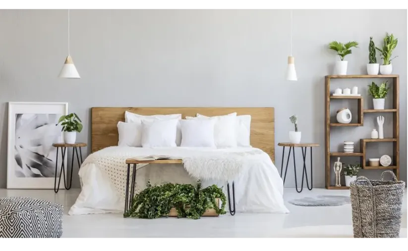 Nevada Cleaning Services